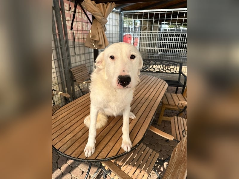 FIDES – freundlich, aktiv, voller Lebensfreude