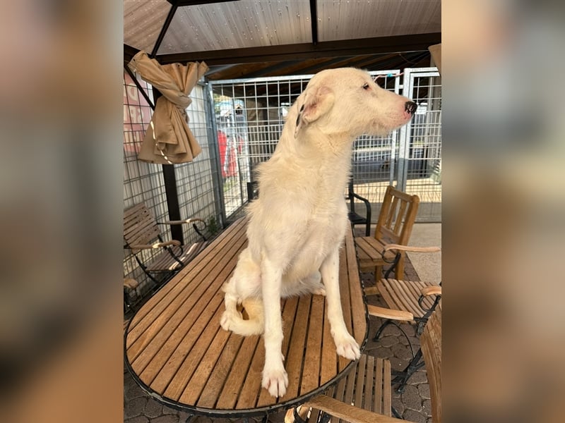 FIDES – freundlich, aktiv, voller Lebensfreude