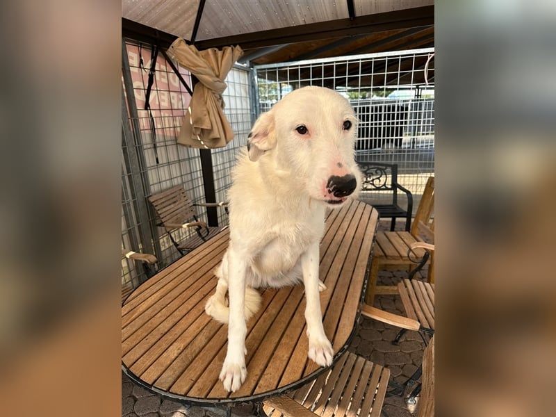 FIDES – freundlich, aktiv, voller Lebensfreude