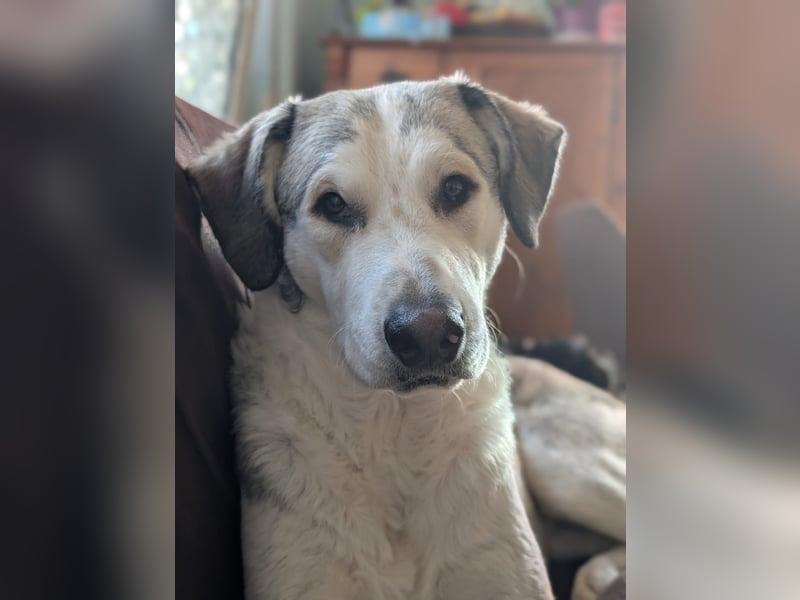 Ciro: wer gibt ihm Halt und Sicherheit?