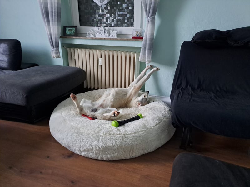 Ciro: wer gibt ihm Halt und Sicherheit?