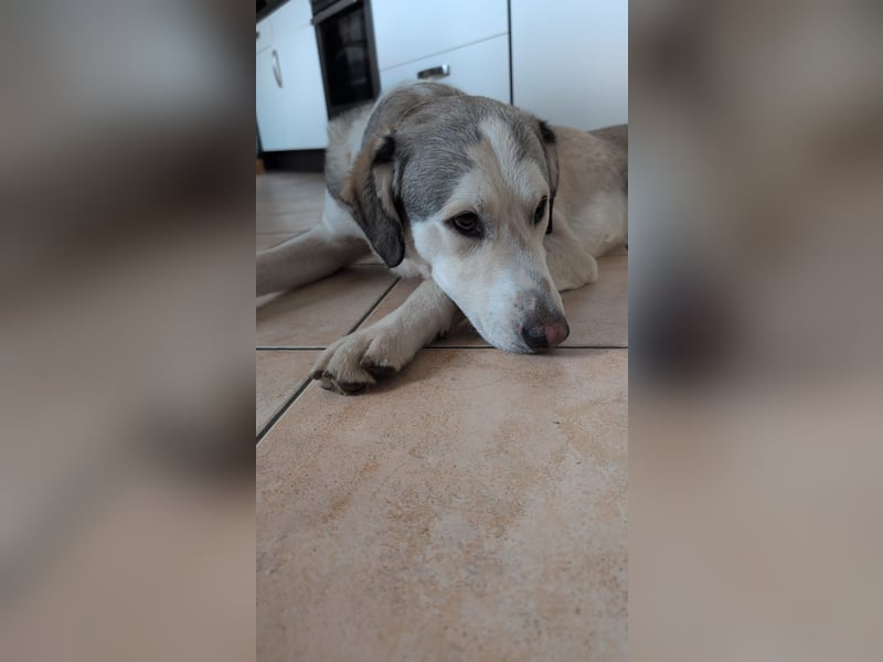 Ciro: wer gibt ihm Halt und Sicherheit?