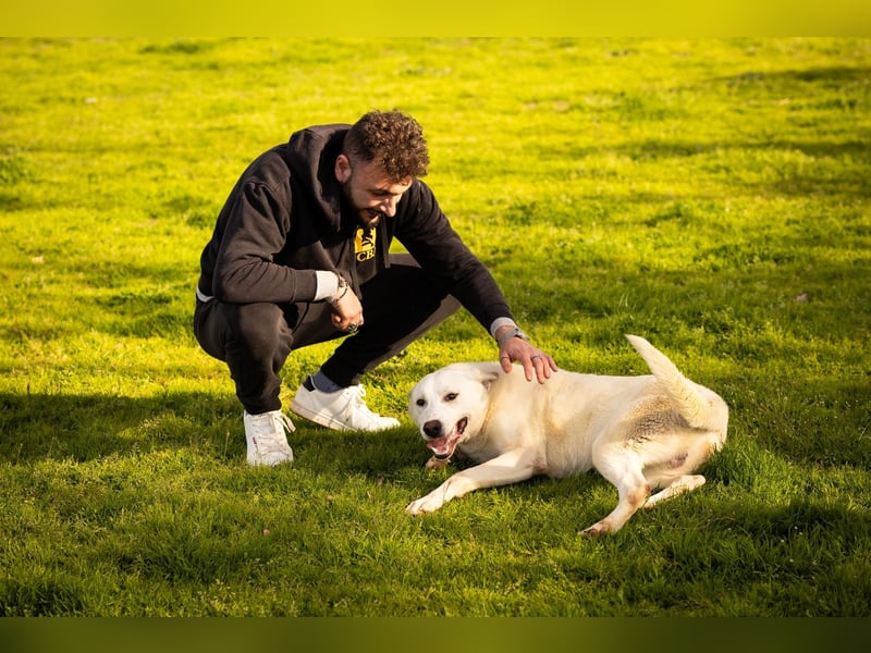 Alby – unbedingt ein Zuhause finden……..