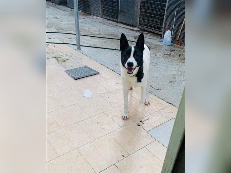 Ciro : "Holt mich hier raus!"