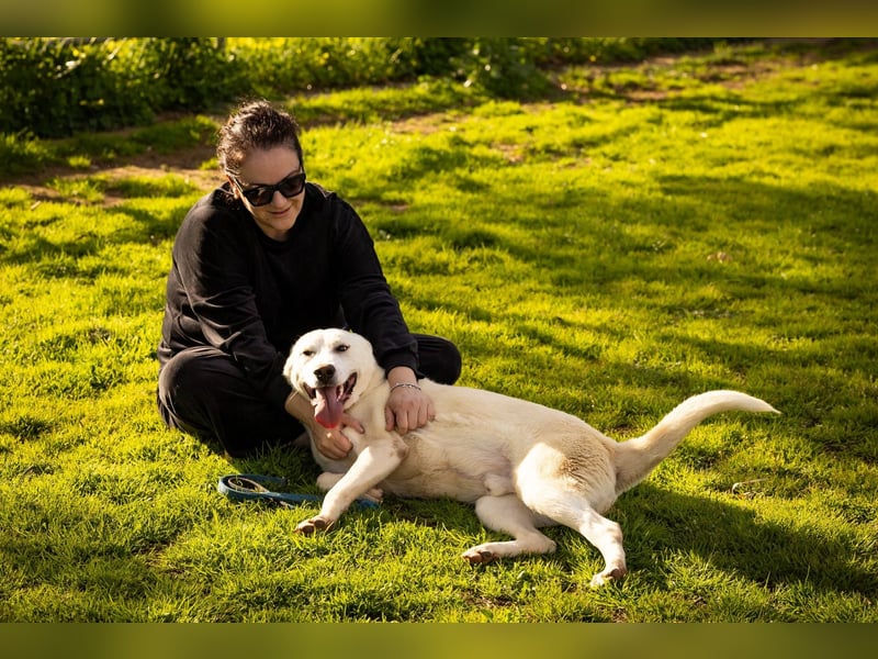 Alby – unbedingt ein Zuhause finden……..