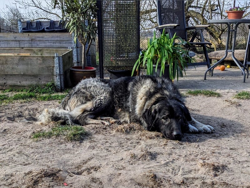 Püppi – endlich für immer ankommen!