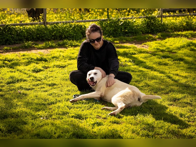 Alby – unbedingt ein Zuhause finden……..