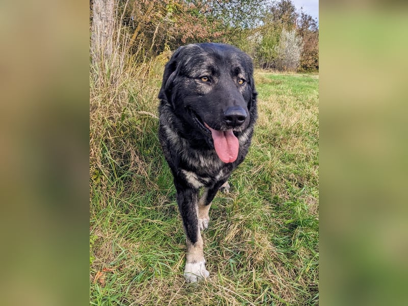 Püppi – endlich für immer ankommen!