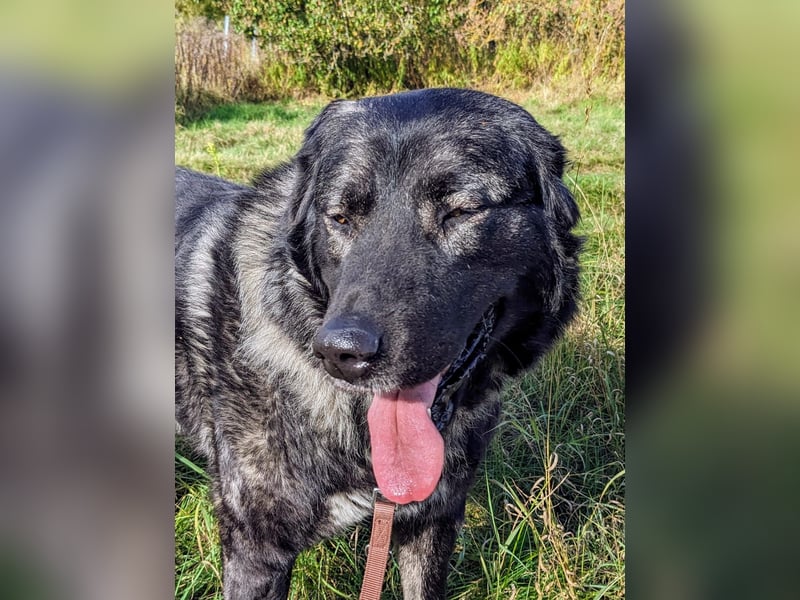 Püppi – endlich für immer ankommen!