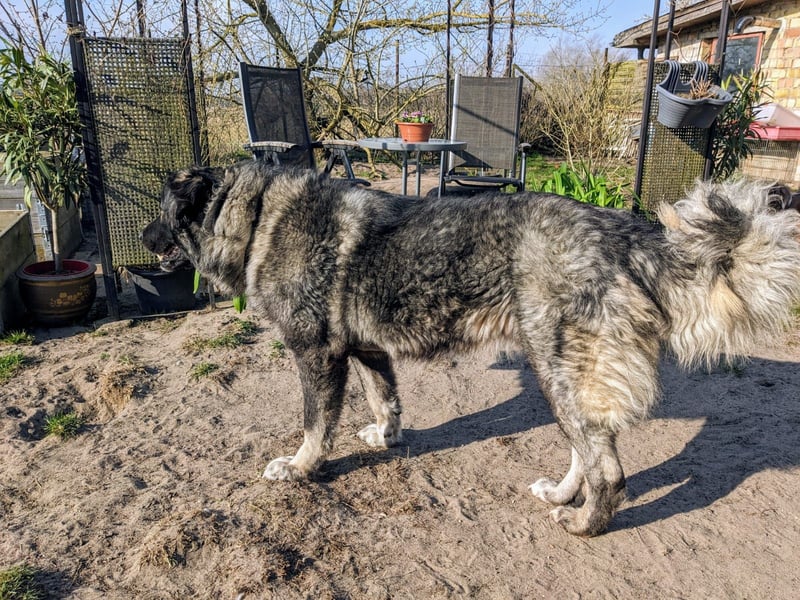 Püppi – endlich für immer ankommen!