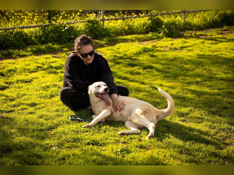 Vici – ein Zuhause finden……..