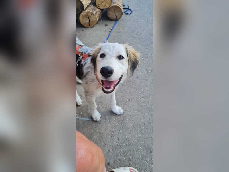 Nala: „Wenn ich einmal groß bin……...“
