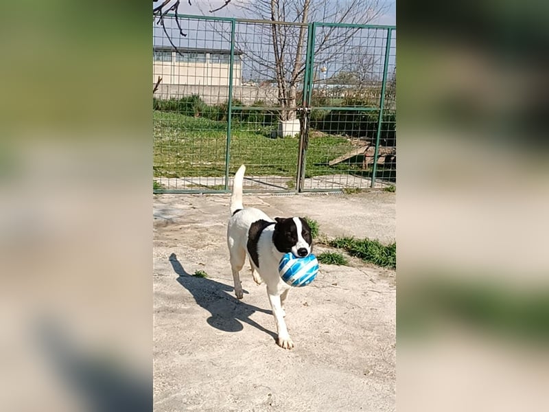 Ciro : "Holt mich hier raus!"