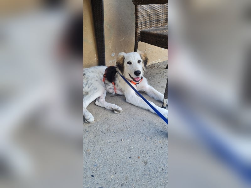 Nala: „Wenn ich einmal groß bin……...“
