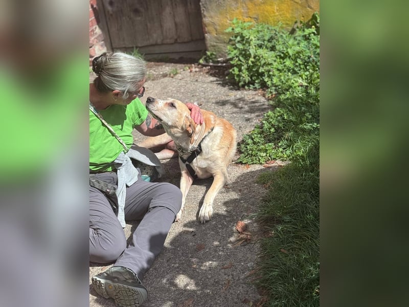 Aurelia – gerettet,aber noch nicht Zuhause