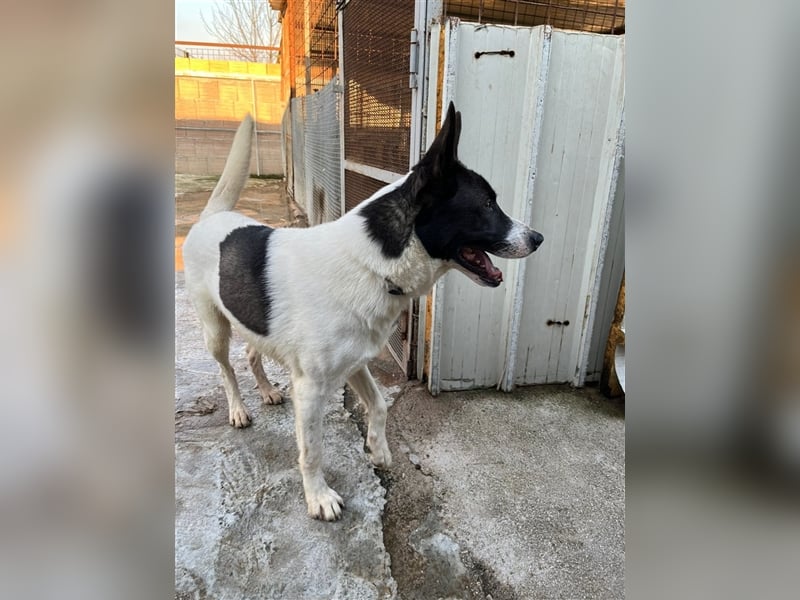 Ciro : "Holt mich hier raus!"