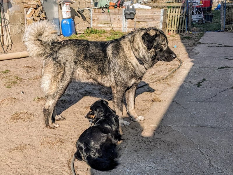Püppi – endlich für immer ankommen!