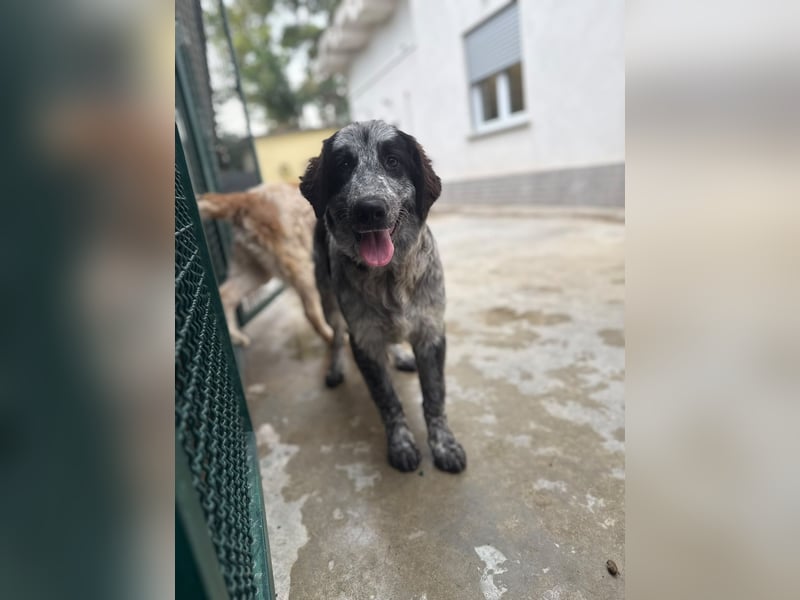 Morena – eine, die Großes vorhat