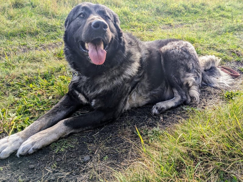 Püppi – endlich für immer ankommen!