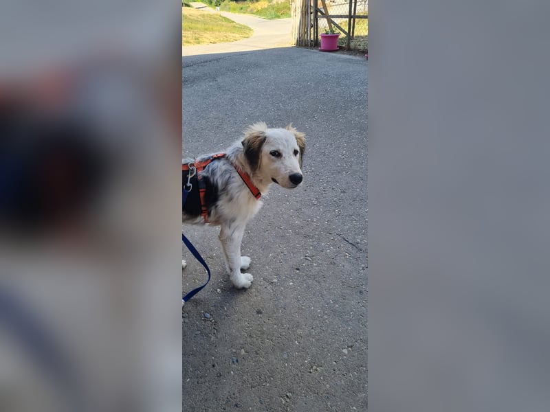Nala: „Wenn ich einmal groß bin……...“