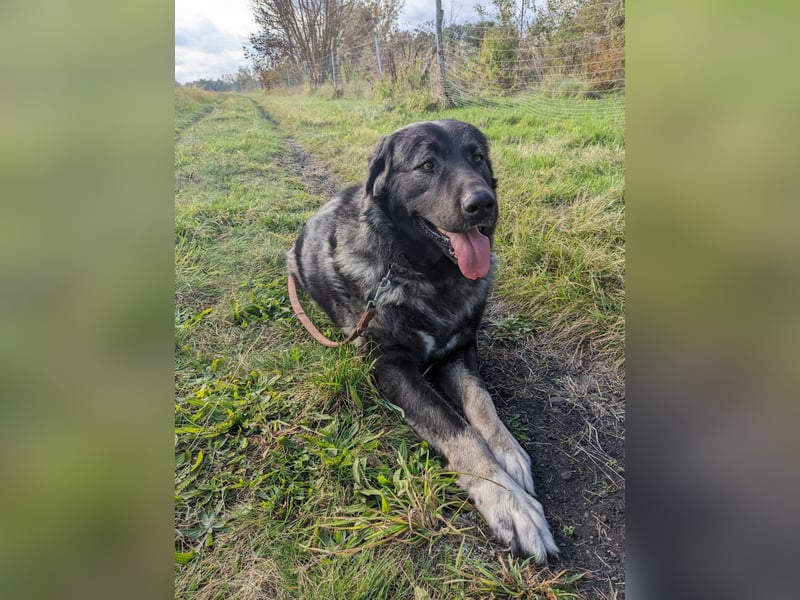 Püppi – endlich für immer ankommen!