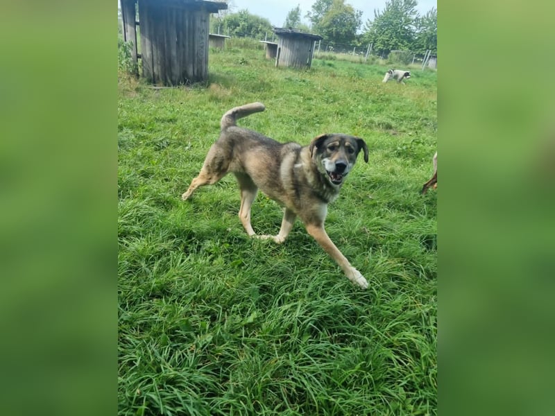 Finn – sensibler Kerl sucht souveräne Menschen