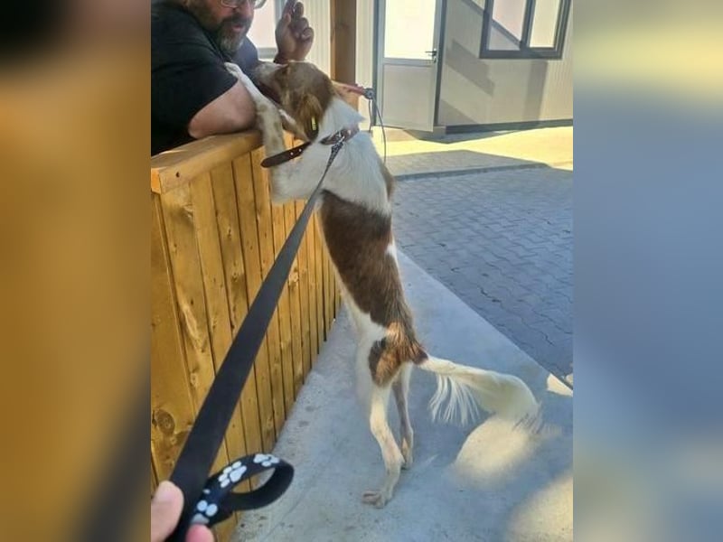 COSMO ein bezaubernder Bub