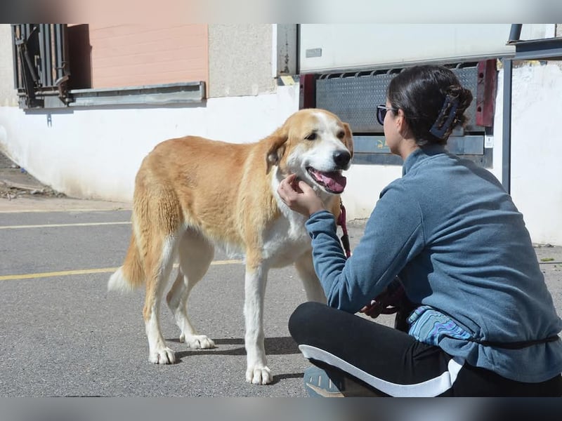 Churi, liebevolle, verschmuste grosse feine Lady