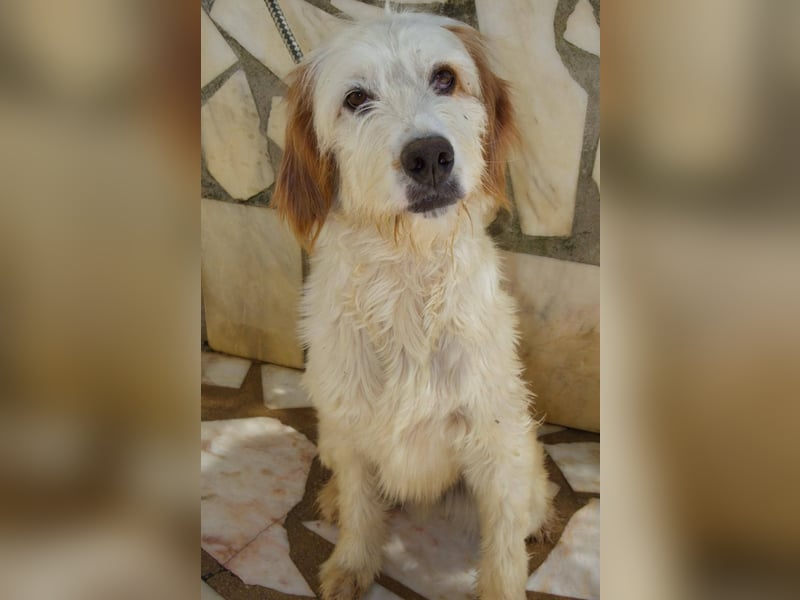 GUSTAV sucht seine Lieblingsmenschen