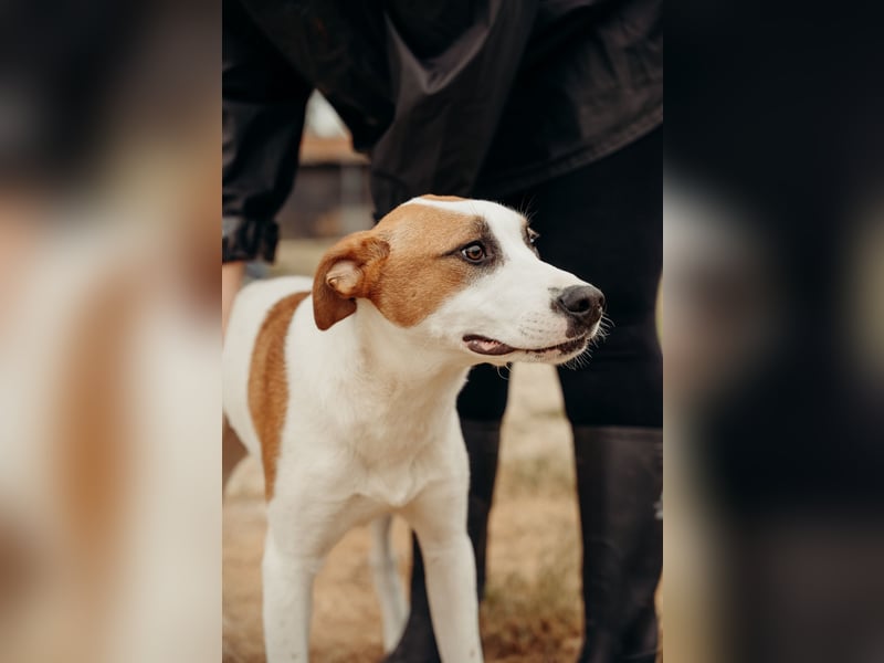 BUD sucht seine Lieblingsmenschen