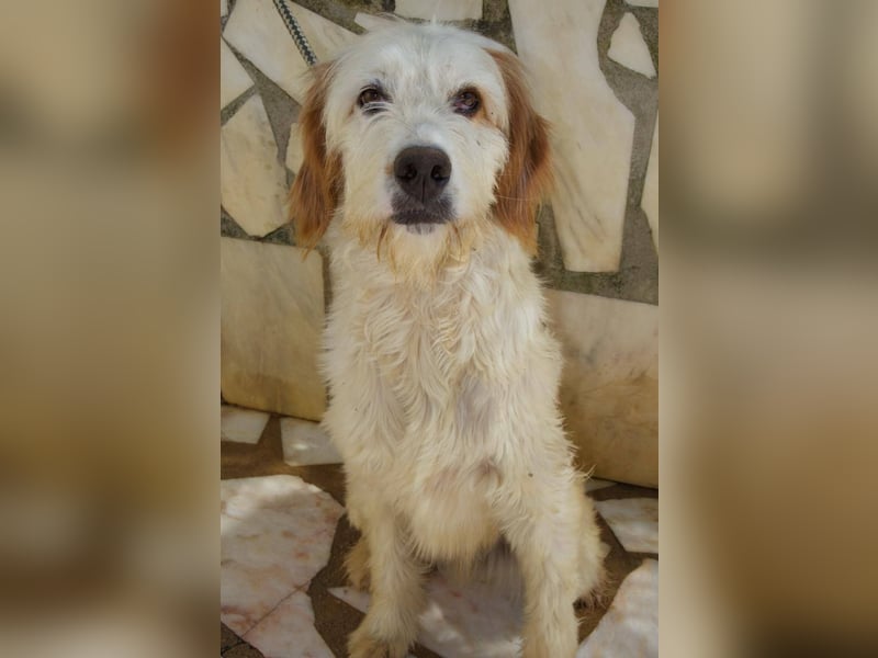 GUSTAV sucht seine Lieblingsmenschen