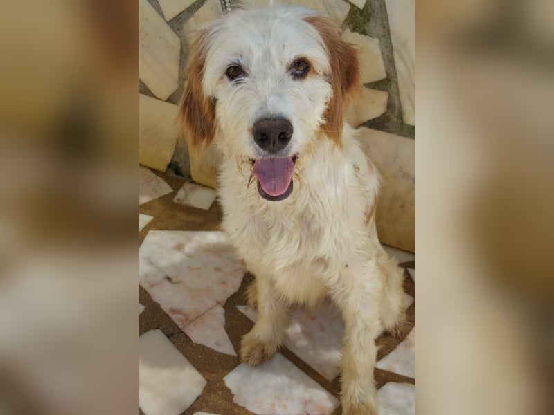 GUSTAV sucht seine Lieblingsmenschen