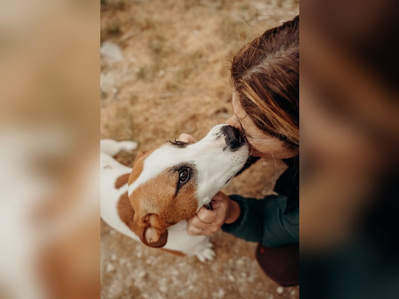 BUD sucht seine Lieblingsmenschen