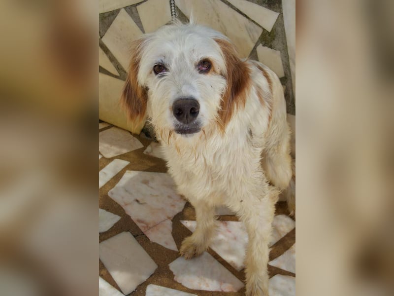 GUSTAV sucht seine Lieblingsmenschen