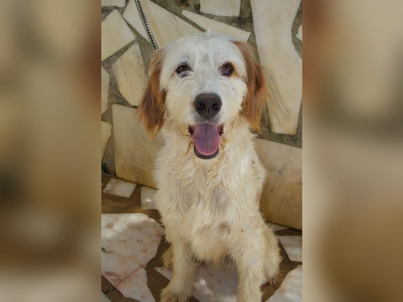 GUSTAV sucht seine Lieblingsmenschen