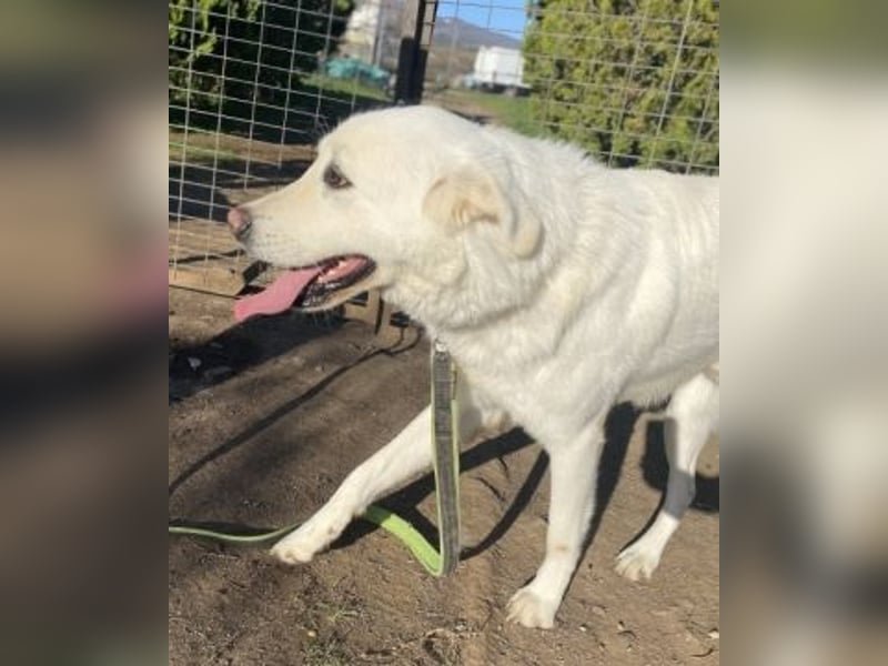 Lio - jung, hübsch sucht Anschluss