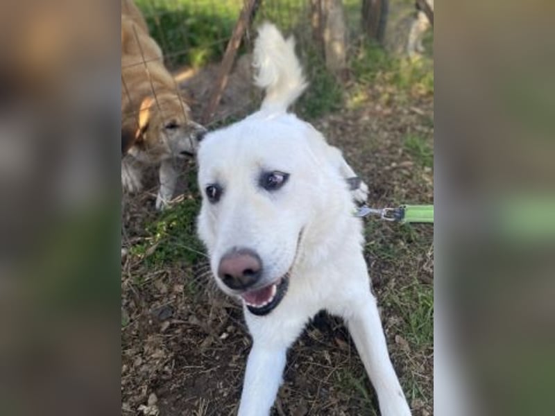 Lio - jung, hübsch sucht Anschluss