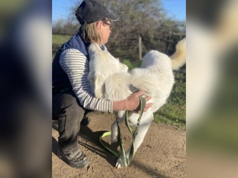 Lio - jung, hübsch sucht Anschluss