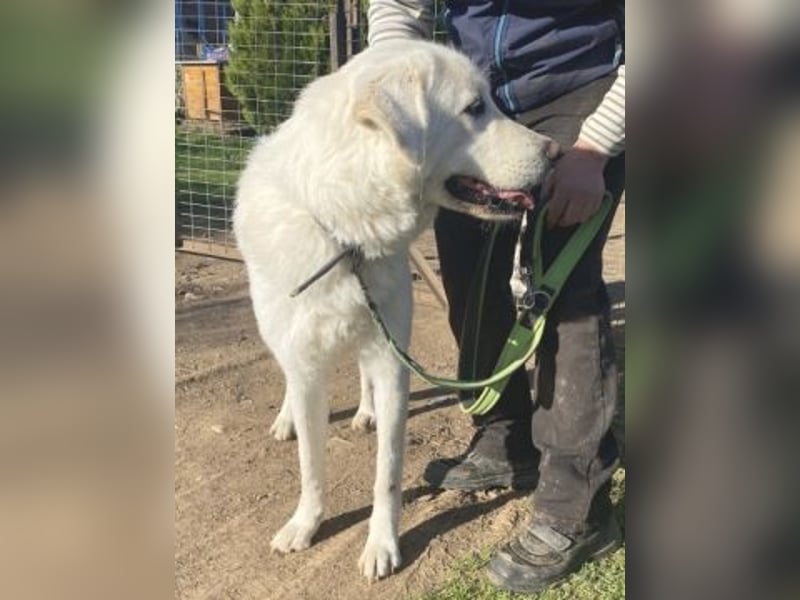 Lio - jung, hübsch sucht Anschluss