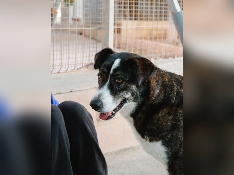 TASCA auf PS in Überlingen