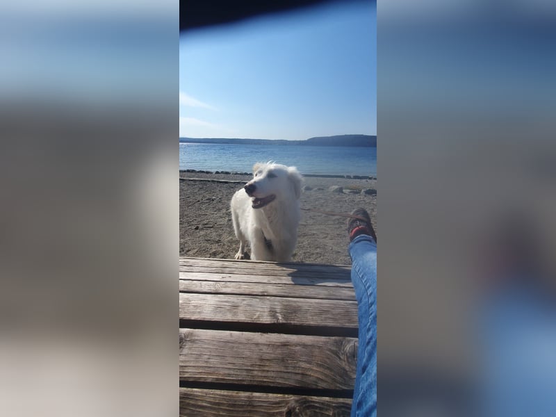 LUMI (Pflegestelle in 888662 Überlingen/Bodensee, BaWü )