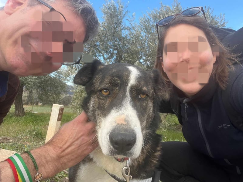 TASCA auf PS in Überlingen