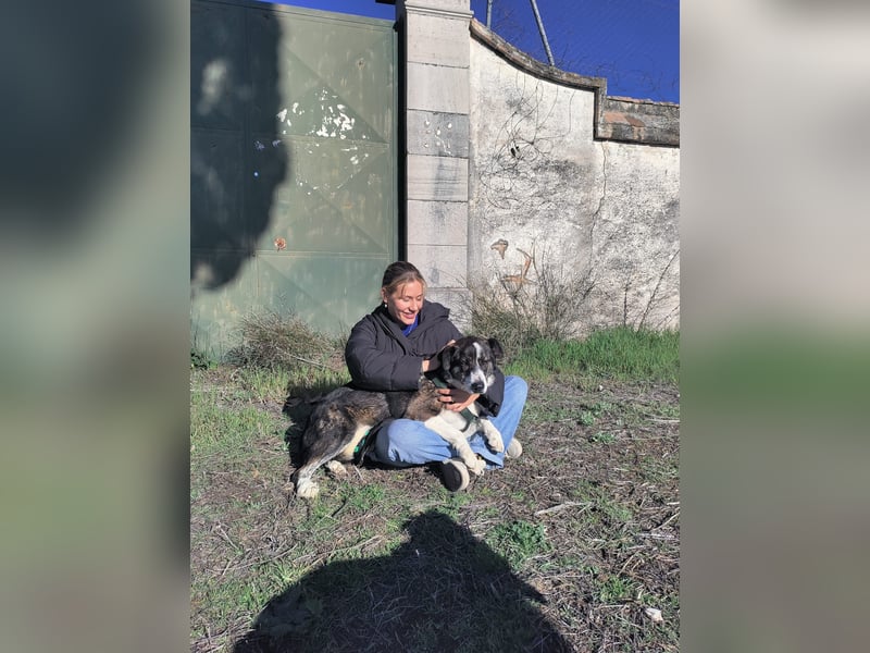 TASCA auf PS in Überlingen