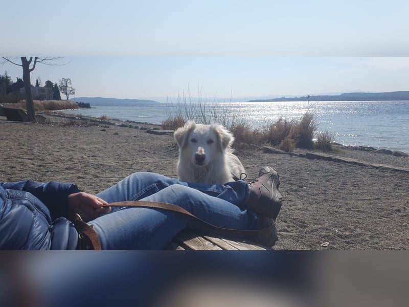 LUMI (Pflegestelle in 888662 Überlingen/Bodensee, BaWü )