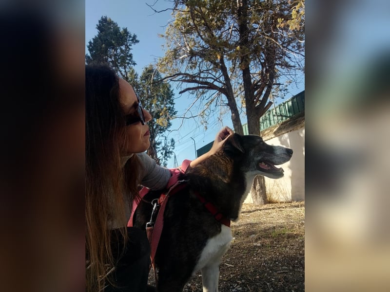 TASCA auf PS in Überlingen