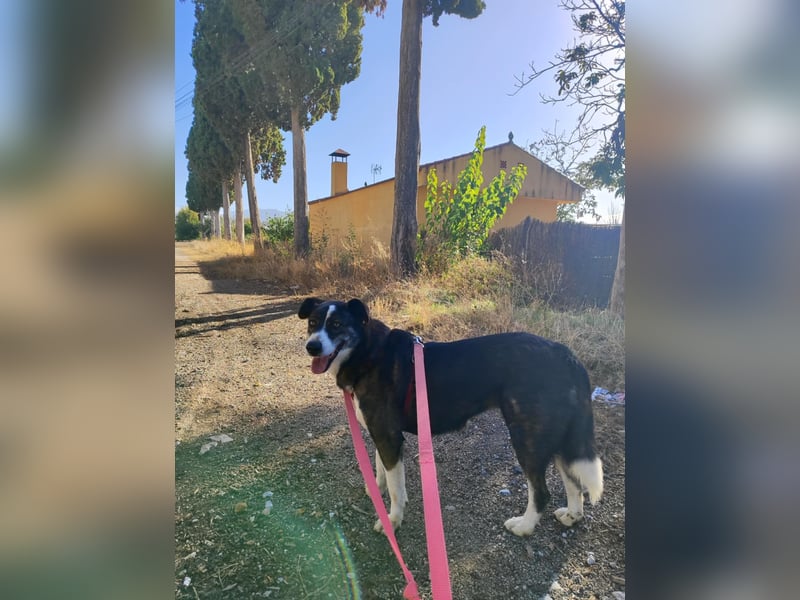 TASCA auf PS in Überlingen