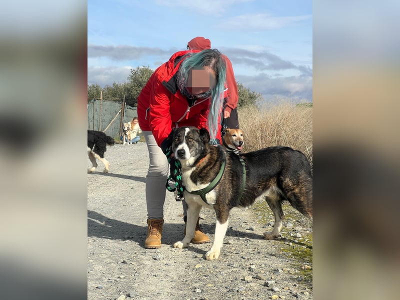 TASCA auf PS in Überlingen