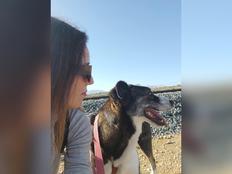 TASCA auf PS in Überlingen