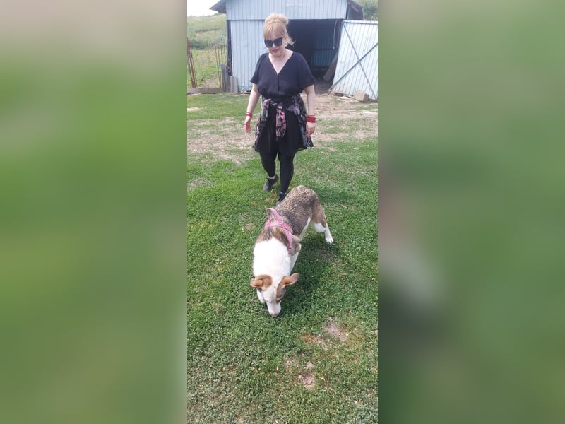 SINJA - wo darf sie glücklich werden?