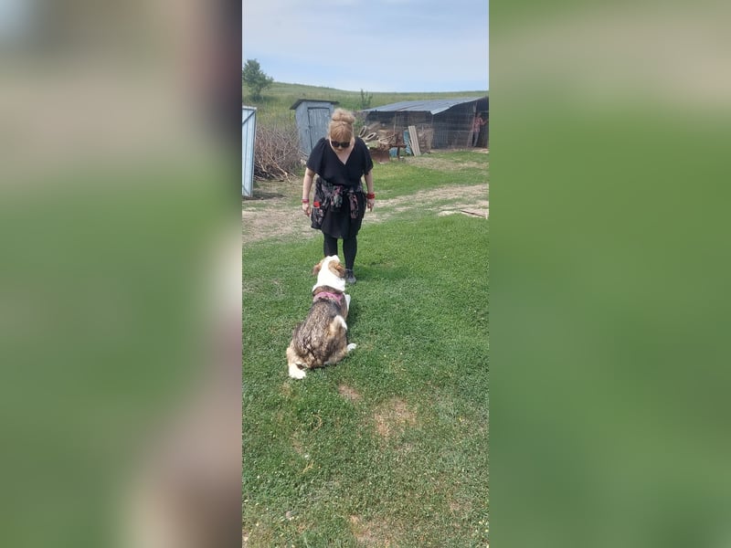 SINJA - wo darf sie glücklich werden?